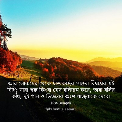 Picture 03 - দ্বিতীয় বিৱৰণ 18:3 BENIRV - আর লোকদের থেকে - Bible Verse Picture