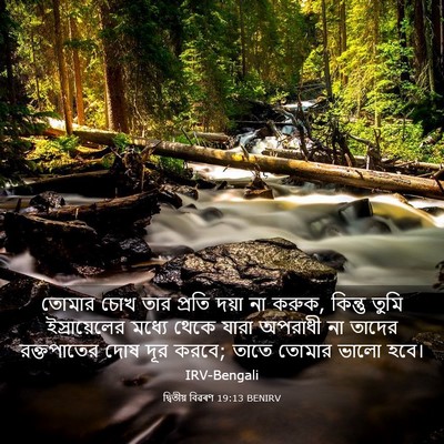 Picture 03 - দ্বিতীয় বিৱৰণ 19:13 BENIRV - তোমার চোখ তার - Bible Verse Picture