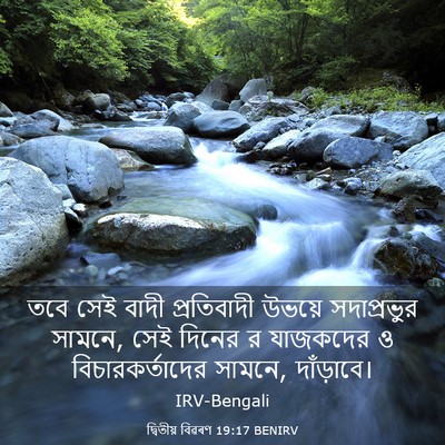 Picture 03 - দ্বিতীয় বিৱৰণ 19:17 BENIRV - তবে সেই বাদী - Bible Verse Picture