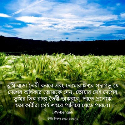 Picture 03 - দ্বিতীয় বিৱৰণ 19:3 BENIRV - তুমি রাস্তা তৈরী - Bible Verse Picture
