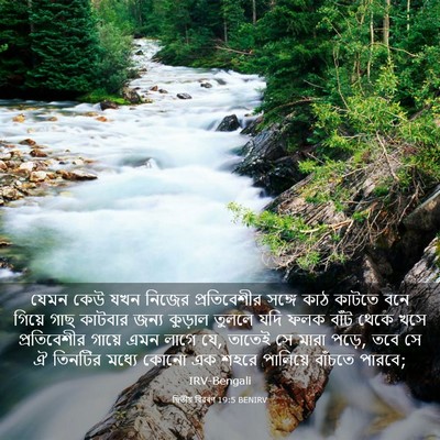 Picture 03 - দ্বিতীয় বিৱৰণ 19:5 BENIRV - যেমন কেউ যখন নিজের - Bible Verse Picture