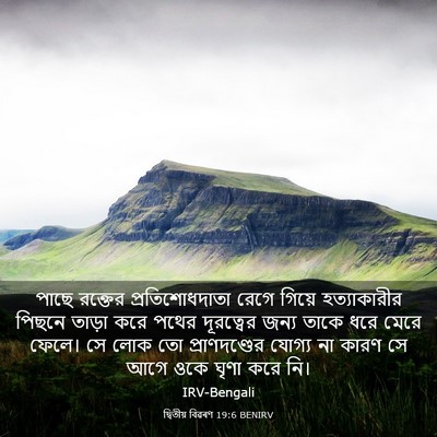 Picture 03 - দ্বিতীয় বিৱৰণ 19:6 BENIRV - পাছে রক্তের - Bible Verse Picture