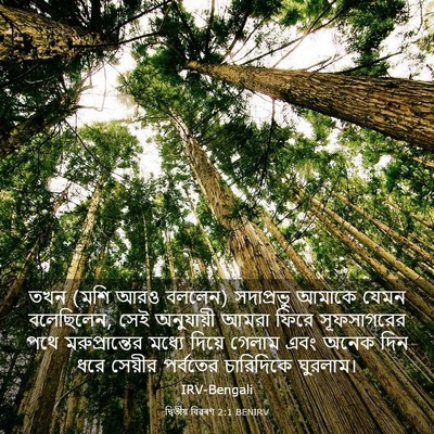 Picture 03 - দ্বিতীয় বিৱৰণ 2:1 BENIRV - তখন (মশি আরও বললেন) - Bible Verse Picture