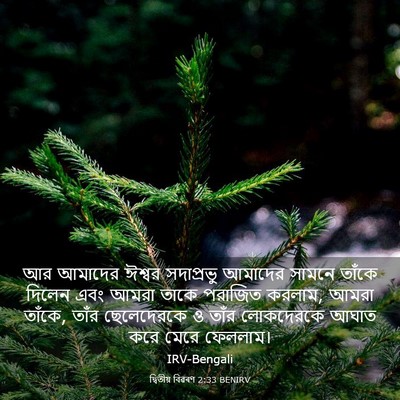 Picture 03 - দ্বিতীয় বিৱৰণ 2:33 BENIRV - আর আমাদের ঈশ্বর - Bible Verse Picture