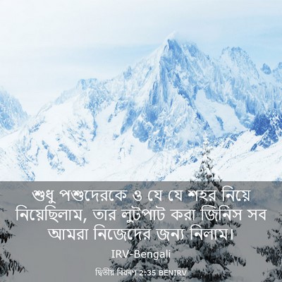 Picture 03 - দ্বিতীয় বিৱৰণ 2:35 BENIRV - শুধু পশুদেরকে ও যে - Bible Verse Picture