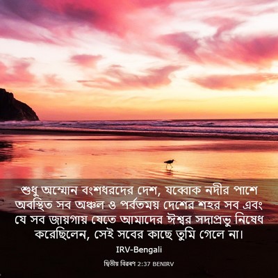 Picture 03 - দ্বিতীয় বিৱৰণ 2:37 BENIRV - শুধু অম্মোন - Bible Verse Picture