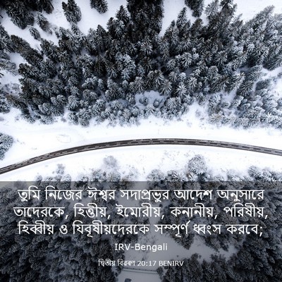 Picture 03 - দ্বিতীয় বিৱৰণ 20:17 BENIRV - তুমি নিজের ঈশ্বর - Bible Verse Picture