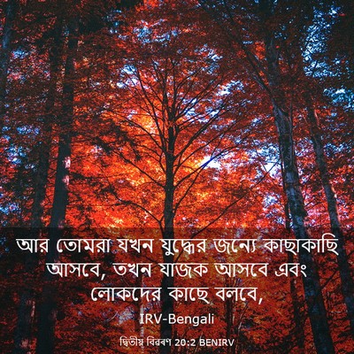 Picture 03 - দ্বিতীয় বিৱৰণ 20:2 BENIRV - আর তোমরা যখন - Bible Verse Picture