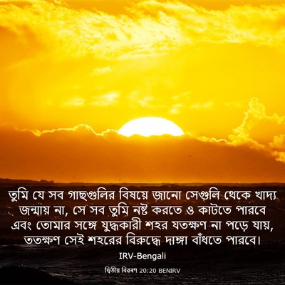 Picture 03 - দ্বিতীয় বিৱৰণ 20:20 BENIRV - তুমি যে সব - Bible Verse Picture