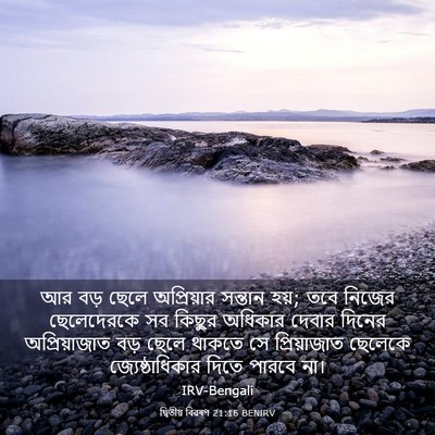 Picture 03 - দ্বিতীয় বিৱৰণ 21:16 BENIRV - আর বড় ছেলে - Bible Verse Picture