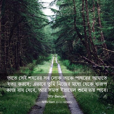 Picture 03 - দ্বিতীয় বিৱৰণ 21:21 BENIRV - তাতে সেই শহরের সব - Bible Verse Picture
