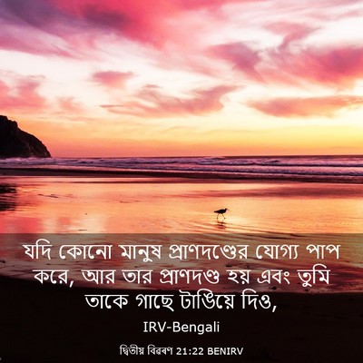 Picture 03 - দ্বিতীয় বিৱৰণ 21:22 BENIRV - যদি কোনো মানুষ - Bible Verse Picture