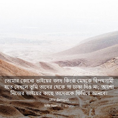 Picture 03 - দ্বিতীয় বিৱৰণ 22:1 BENIRV - তোমার কোনো - Bible Verse Picture