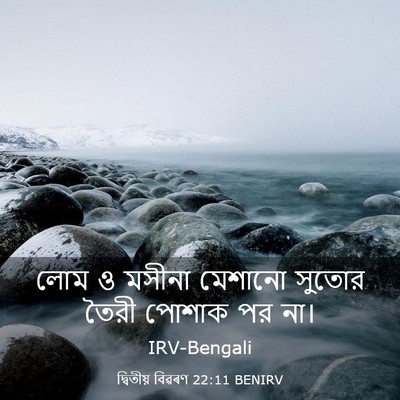 Picture 03 - দ্বিতীয় বিৱৰণ 22:11 BENIRV - লোম ও মসীনা মেশানো - Bible Verse Picture