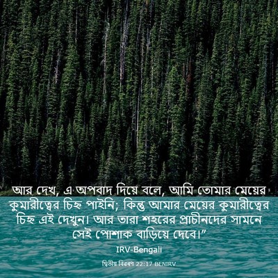 Picture 03 - দ্বিতীয় বিৱৰণ 22:17 BENIRV - আর দেখ, এ অপবাদ - Bible Verse Picture