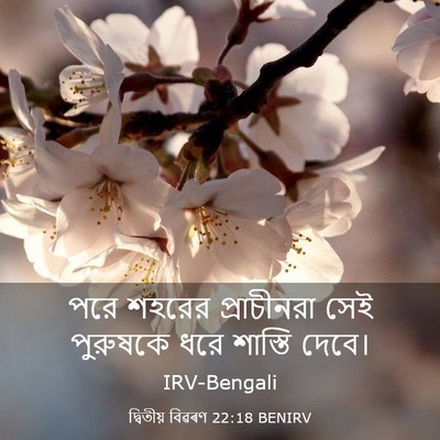 Picture 03 - দ্বিতীয় বিৱৰণ 22:18 BENIRV - পরে শহরের - Bible Verse Picture