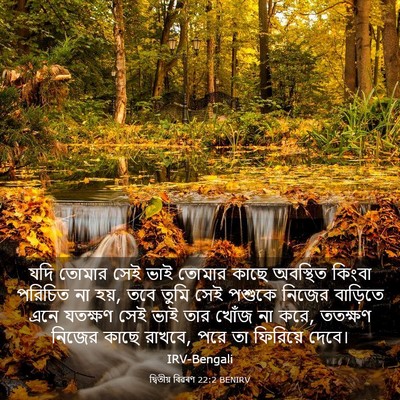 Picture 03 - দ্বিতীয় বিৱৰণ 22:2 BENIRV - যদি তোমার সেই ভাই - Bible Verse Picture