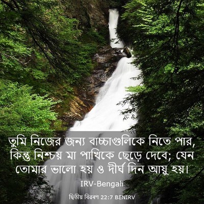 Picture 03 - দ্বিতীয় বিৱৰণ 22:7 BENIRV - তুমি নিজের জন্য - Bible Verse Picture