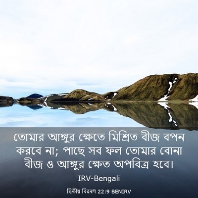 Picture 03 - দ্বিতীয় বিৱৰণ 22:9 BENIRV - তোমার আঙ্গুর - Bible Verse Picture