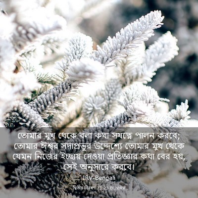 Picture 03 - দ্বিতীয় বিৱৰণ 23:23 BENIRV - তোমার মুখ থেকে বলা - Bible Verse Picture