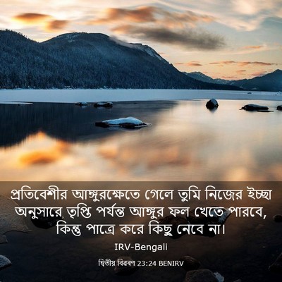 Picture 03 - দ্বিতীয় বিৱৰণ 23:24 BENIRV - প্রতিবেশীর - Bible Verse Picture