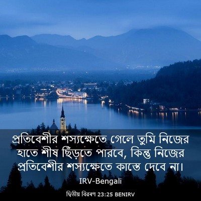 Picture 03 - দ্বিতীয় বিৱৰণ 23:25 BENIRV - প্রতিবেশীর - Bible Verse Picture