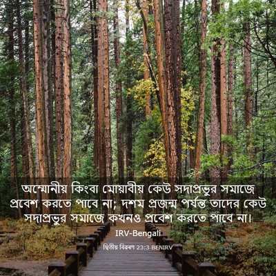 Picture 03 - দ্বিতীয় বিৱৰণ 23:3 BENIRV - অম্মোনীয় কিংবা - Bible Verse Picture