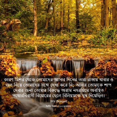 Picture 03 - দ্বিতীয় বিৱৰণ 23:4 BENIRV - কারণ মিশর থেকে - Bible Verse Picture
