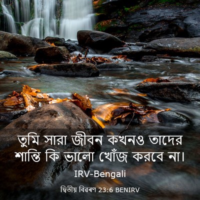 Picture 03 - দ্বিতীয় বিৱৰণ 23:6 BENIRV - তুমি সারা জীবন - Bible Verse Picture