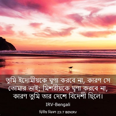 Picture 03 - দ্বিতীয় বিৱৰণ 23:7 BENIRV - তুমি ইদোমীয়কে - Bible Verse Picture