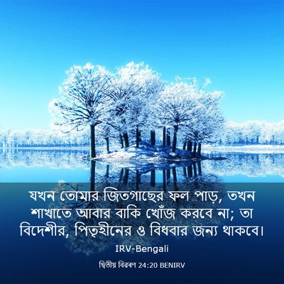 Picture 03 - দ্বিতীয় বিৱৰণ 24:20 BENIRV - যখন তোমার - Bible Verse Picture