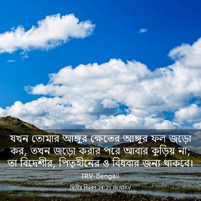Picture 03 - দ্বিতীয় বিৱৰণ 24:21 BENIRV - যখন তোমার আঙ্গুর - Bible Verse Picture