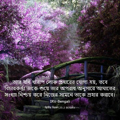 Picture 03 - দ্বিতীয় বিৱৰণ 25:2 BENIRV - আর যদি খারাপ লোক - Bible Verse Picture