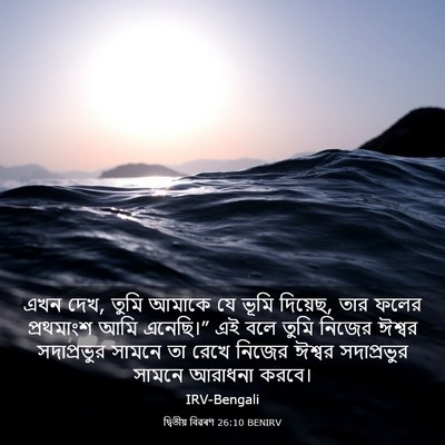 Picture 03 - দ্বিতীয় বিৱৰণ 26:10 BENIRV - এখন দেখ, তুমি আমাকে - Bible Verse Picture