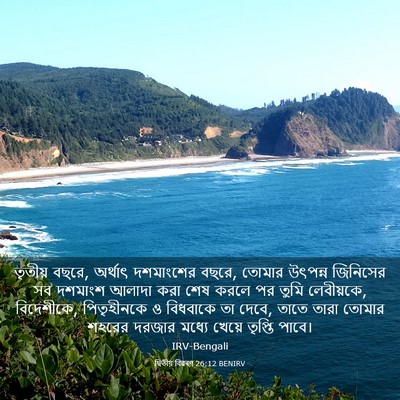 Picture 03 - দ্বিতীয় বিৱৰণ 26:12 BENIRV - তৃতীয় বছরে, - Bible Verse Picture