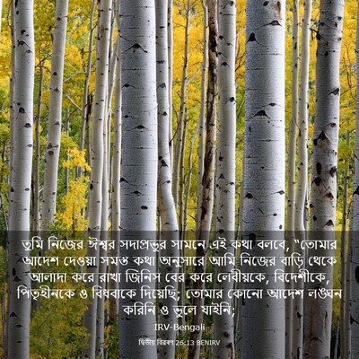 Picture 03 - দ্বিতীয় বিৱৰণ 26:13 BENIRV - তুমি নিজের ঈশ্বর - Bible Verse Picture
