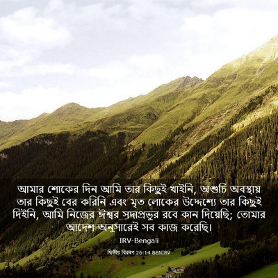 Picture 03 - দ্বিতীয় বিৱৰণ 26:14 BENIRV - আমার শোকের দিন আমি - Bible Verse Picture