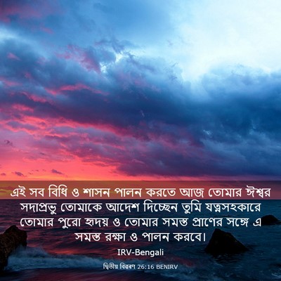 Picture 03 - দ্বিতীয় বিৱৰণ 26:16 BENIRV - এই সব বিধি ও শাসন - Bible Verse Picture