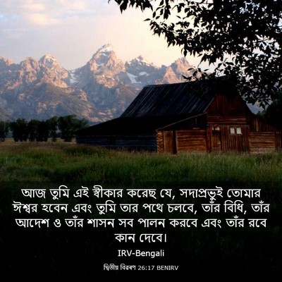 Picture 03 - দ্বিতীয় বিৱৰণ 26:17 BENIRV - আজ তুমি এই স্বীকার - Bible Verse Picture