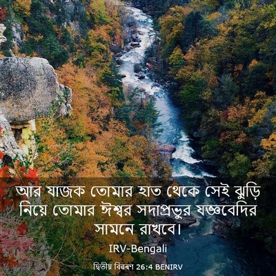 Picture 03 - দ্বিতীয় বিৱৰণ 26:4 BENIRV - আর যাজক তোমার হাত - Bible Verse Picture