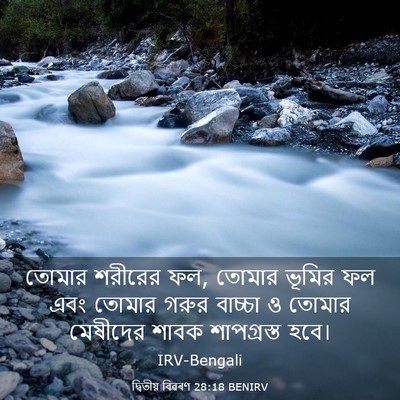 Picture 03 - দ্বিতীয় বিৱৰণ 28:18 BENIRV - তোমার শরীরের ফল, - Bible Verse Picture