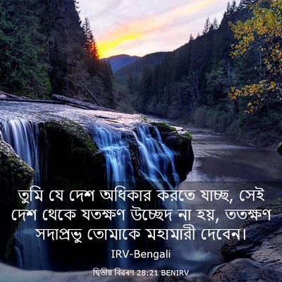 Picture 03 - দ্বিতীয় বিৱৰণ 28:21 BENIRV - তুমি যে দেশ অধিকার - Bible Verse Picture