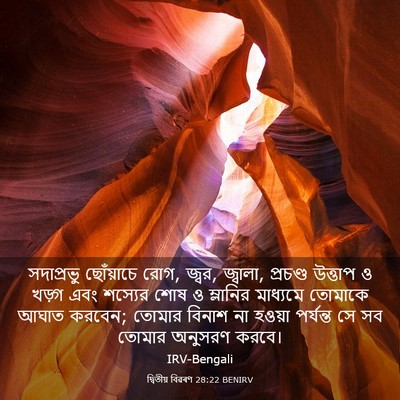 Picture 03 - দ্বিতীয় বিৱৰণ 28:22 BENIRV - সদাপ্রভু ছোঁয়াচে - Bible Verse Picture