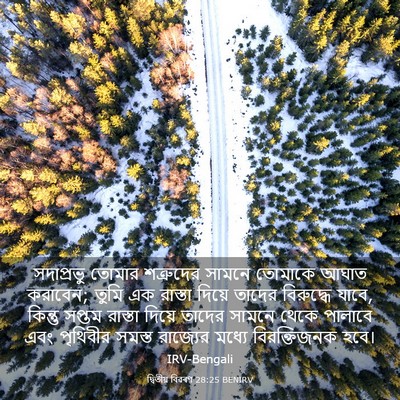 Picture 03 - দ্বিতীয় বিৱৰণ 28:25 BENIRV - সদাপ্রভু তোমার - Bible Verse Picture