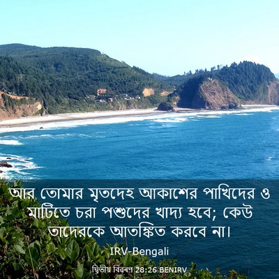Picture 03 - দ্বিতীয় বিৱৰণ 28:26 BENIRV - আর তোমার মৃতদেহ - Bible Verse Picture