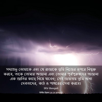 Picture 03 - দ্বিতীয় বিৱৰণ 28:36 BENIRV - সদাপ্রভু তোমাকে - Bible Verse Picture