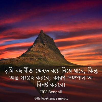 Picture 03 - দ্বিতীয় বিৱৰণ 28:38 BENIRV - তুমি বহু বীজ - Bible Verse Picture