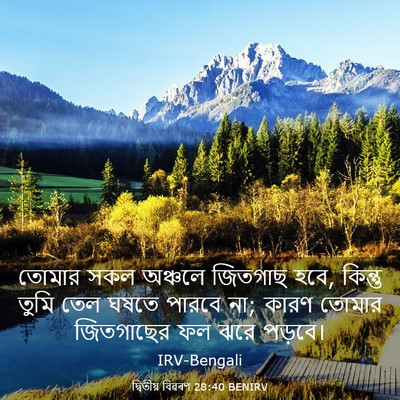 Picture 03 - দ্বিতীয় বিৱৰণ 28:40 BENIRV - তোমার সকল অঞ্চলে - Bible Verse Picture