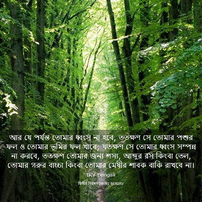 Picture 03 - দ্বিতীয় বিৱৰণ 28:51 BENIRV - আর যে পর্যন্ত - Bible Verse Picture