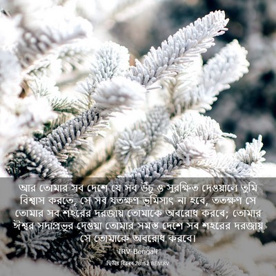 Picture 03 - দ্বিতীয় বিৱৰণ 28:52 BENIRV - আর তোমার সব দেশে যে - Bible Verse Picture